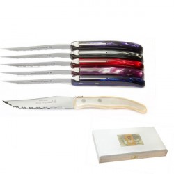 Set von 6 Excellence Messer. violette schattierungen, sehr trendy