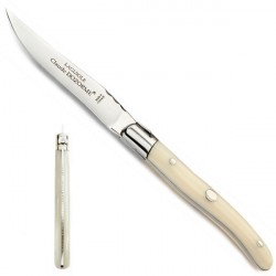 1 aspect ivory handle knife, single