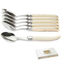 Luxury boxed set of 6 large spoons, Ivoirine handle 
