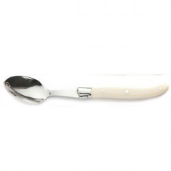 1 large spoon, Ivoirine handle, single