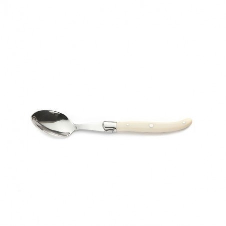 1 small spoon, Ivoirine handle 