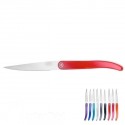 Cristal steak knife - Grenadine - 9 colors selected