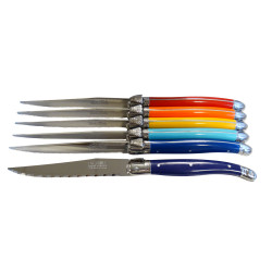Laguiole Steak Knives - Rainbow – Relish Decor