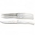 Luxury boxed of 4 Excellence knives. Very trendy, white