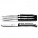 Luxury box of 4 Excellence knives. Very trendy, black
